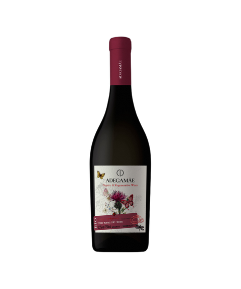 AdegaMãe BIO Tinto